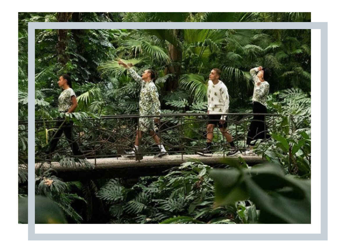 grup traversand un pod in jungla