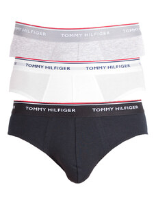 3PACK slipuri bărbați Tommy Hilfiger multicolore (1U87903766 004) XL