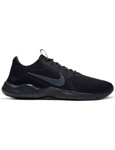 Pantofi Sport Nike Flex Run CD0225004