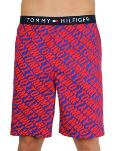 Pantaloni scurți bărbați Tommy Hilfiger multicolori (UM0UM01765 0NX) XL