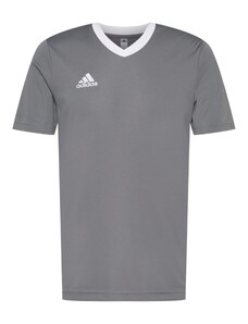 ADIDAS PERFORMANCE Tricou funcțional 'Entrada 22' gri / alb