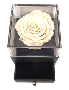 FashionForYou Cutie tip sertar cu trandafir criogenat, diverse culori si punga de cadou (Culoare: Alb)