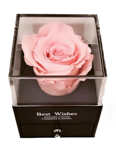 FashionForYou Cutie tip sertar cu trandafir criogenat, diverse culori si punga de cadou (Culoare: Roz)