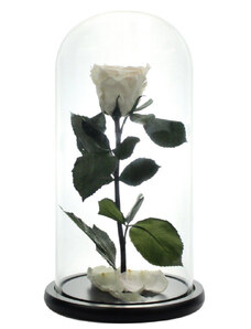 FashionForYou Trandafir Criogenat in cupola de sticla cu blat negru, pe pat de petale (Culoare: Alb)