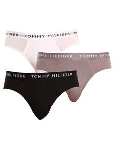 3PACK slipuri bărbați Tommy Hilfiger multicolore (UM0UM02206 0TG) M