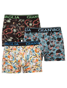 3PACK boxeri bărbați Gianvaglia multicolori (GVG-5502) XL