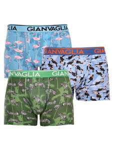 3PACK boxeri bărbați Gianvaglia multicolori (GVG-5501) XL
