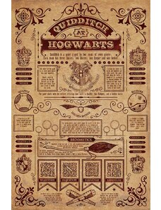 Pyramid Poster Harry Potter - Quidditch în Hogwarts
