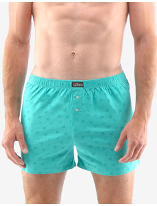 Men's shorts Gino green