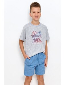 Taro Pijamale pentru băieți mari Zane gri cu dinozaur