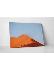 4 Decor Tablou canvas : In mijlocul desertului