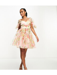 Lace & Beads Petite exclusive wrapped tulle mini dress in bright floral-White