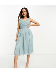 Beauut Petite Bridal midi tulle with bow back in misty green
