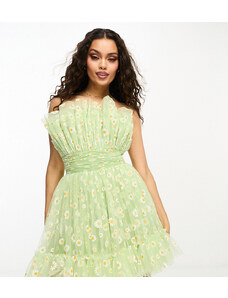 Lace & Beads Petite bandeau tulle mini dress in green daisy