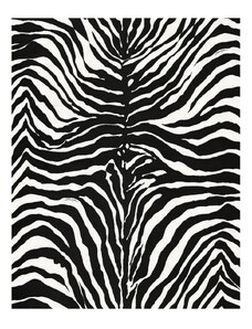 Dolce & Gabbana zebra-print wallpaper - Black