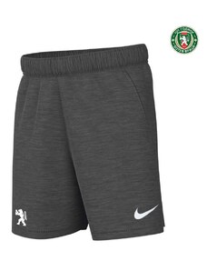 Pantalon Scurt Timp Liber Barbati BOTEV VRATSA Nike Park 20 Shorts 23/24