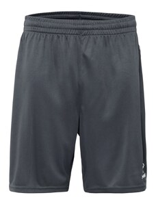 Hummel Pantaloni sport 'AUTHENTIC' gri metalic / negru / alb