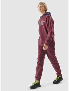 4F Pantaloni jogger de molton pentru băieți - 146