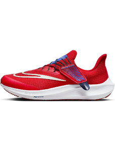 Pantofi de alergare Nike Pegasus FlyEase dj7381-601