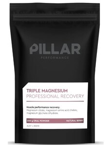 Vitamine si minerale Pillar Performance Triple Magnesium Professional Recovery Powder Berry (200g) POUCH eu-tmpr200p-p