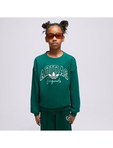 Adidas Bluză Crew Girl Copii Îmbrăcăminte Bluze IL5041 Verde
