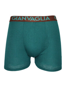 Boxeri bărbați Gianvaglia verzi (024-green) M