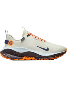 Pantofi de alergare Nike InfinityRN 4 GORE-TEX fb2204-002