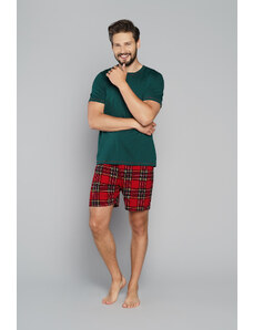Italian Fashion Men's pyjamas Narwik, short sleeves, short legs - green/print
