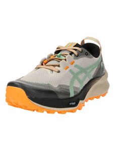 ASICS Sneaker de alergat 'Gel-Trabuco 12' gri taupe / verde pastel / portocaliu