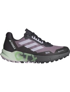 Pantofi trail adidas TERREX AGRAVIC FLOW 2 GTX W id2501