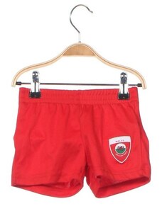 Pantaloni scurți pentru copii Uefa