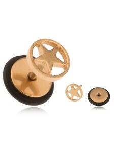 Bijuterii Eshop - Plug fals, auriu, din oțel, o stea într-un cerc PC10.14