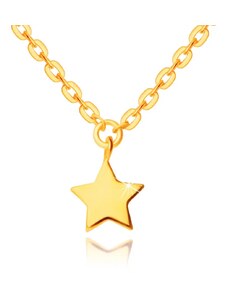 Bijuterii Eshop - Colier din aur galben, 14K - pandantiv în formă de stea, lanț strălucitor cu zale plate S3GG249.49
