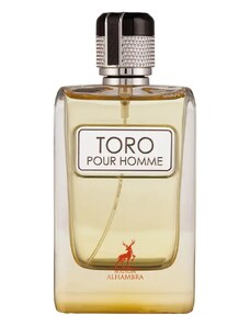Parfum Toro, Maison Alhambra, apa de parfum 100 ml, barbati - inspirat din Terre d Hermes