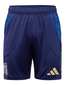 ADIDAS PERFORMANCE Pantaloni sport bleumarin / azur / verde deschis / roșu