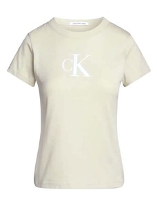 CALVIN KLEIN T-Shirt Gradient Ck Tee J20J222343 LFU green haze