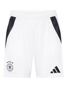 ADIDAS PERFORMANCE Pantaloni sport 'DFB 24' roșu / negru / alb
