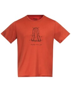 Men's T-shirt Bergans Graphic Wool Brick