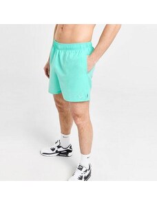 Nike Swim Pantaloni Scurți Core 5" Hyper . Bărbați Îmbrăcăminte Pantaloni scurți NESSA560-349 Verde