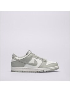 Nike Dunk Low Bg Copii Încălțăminte Sneakers FB9109-123 Gri