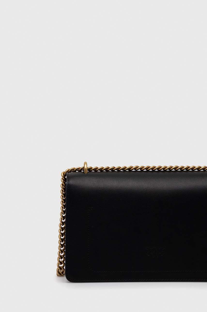 Pinko poseta de piele