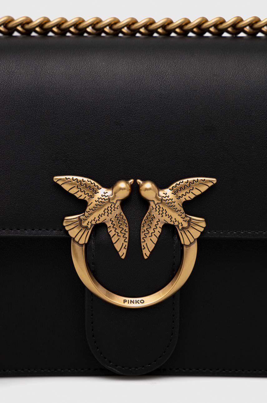 Pinko poseta de piele