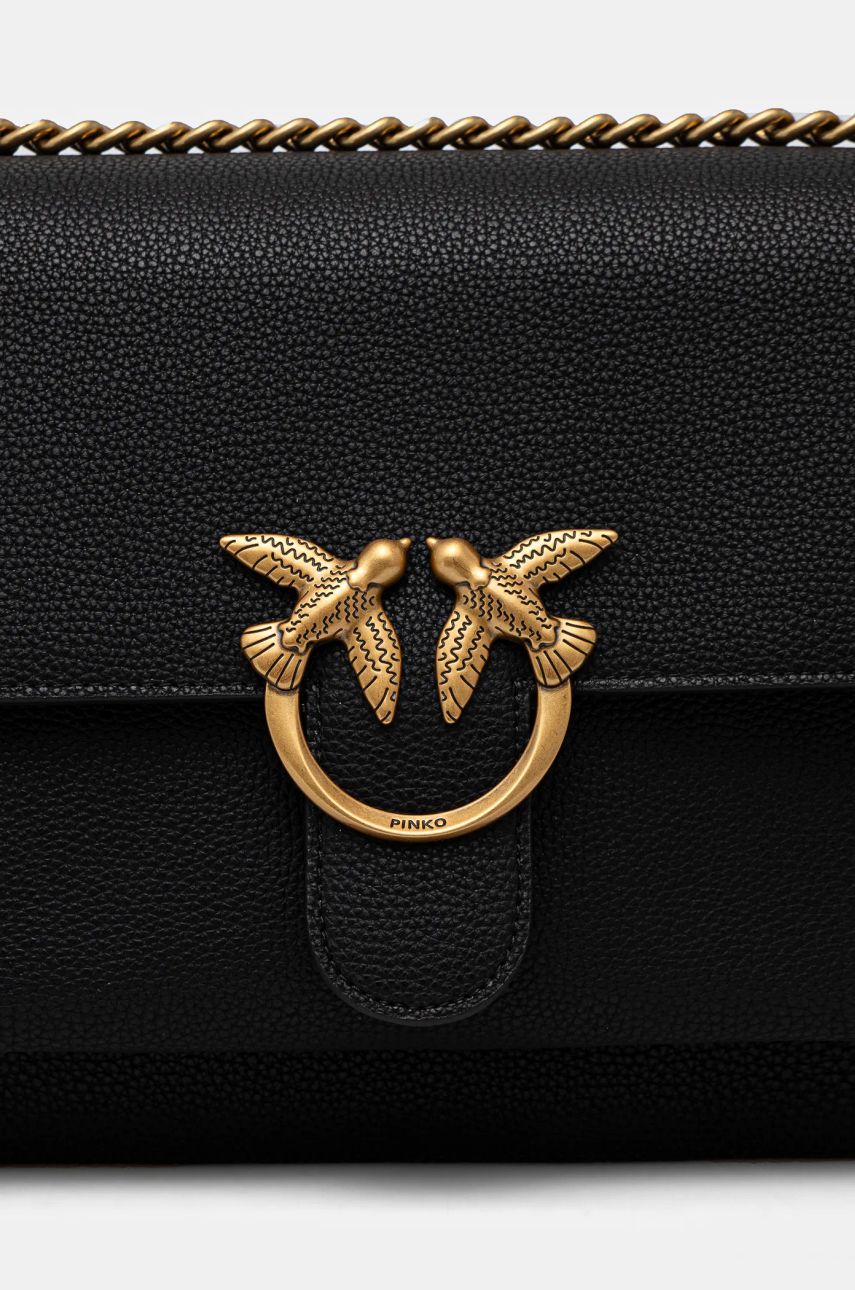 Pinko poseta de piele