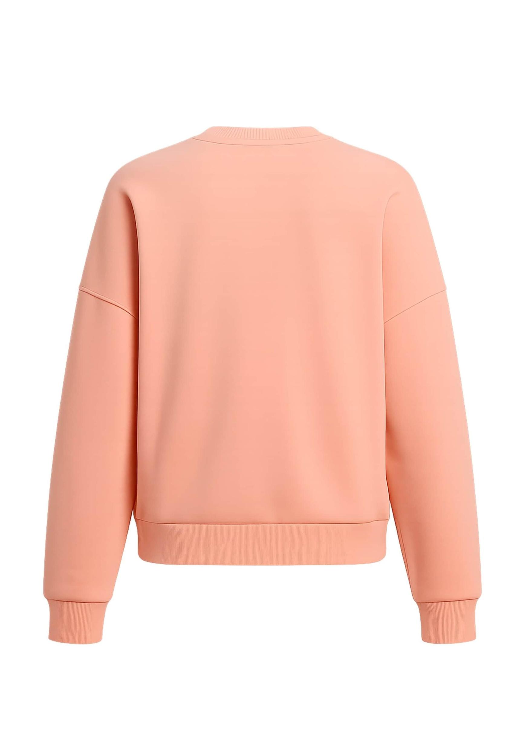 Karl Kani Bluză de molton ' ' portocaliu