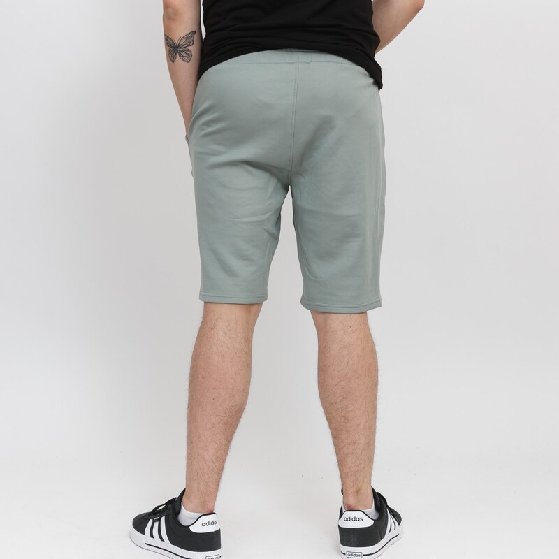 Fila CLEMSON regular shorts green