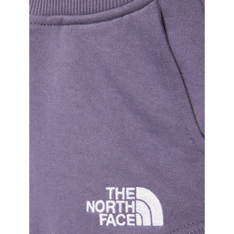 Pantaloni scurți sport The North Face