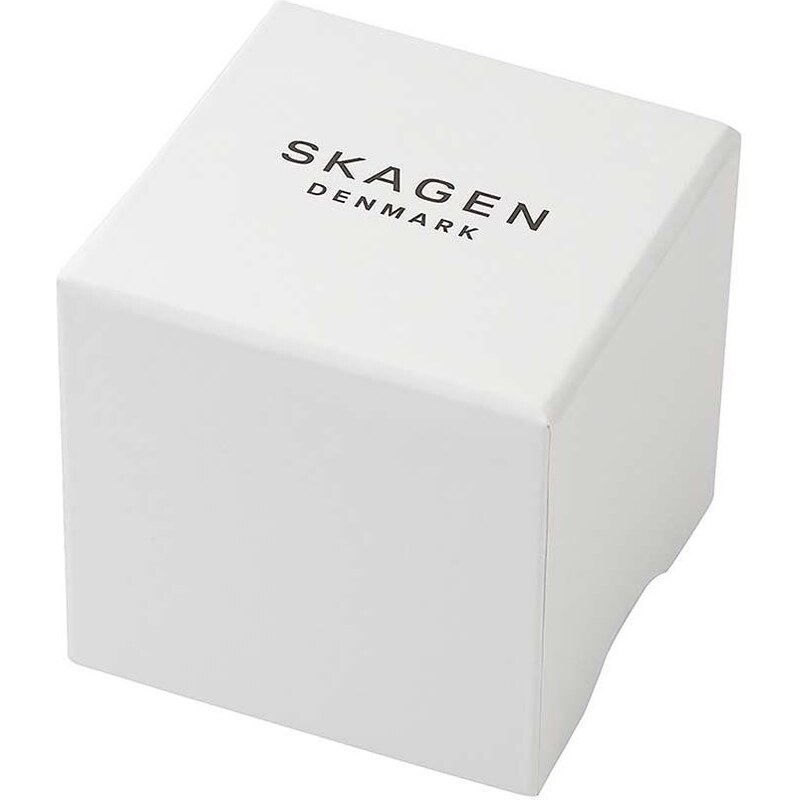 Skagen ceas SKW6836 barbati, culoarea argintiu