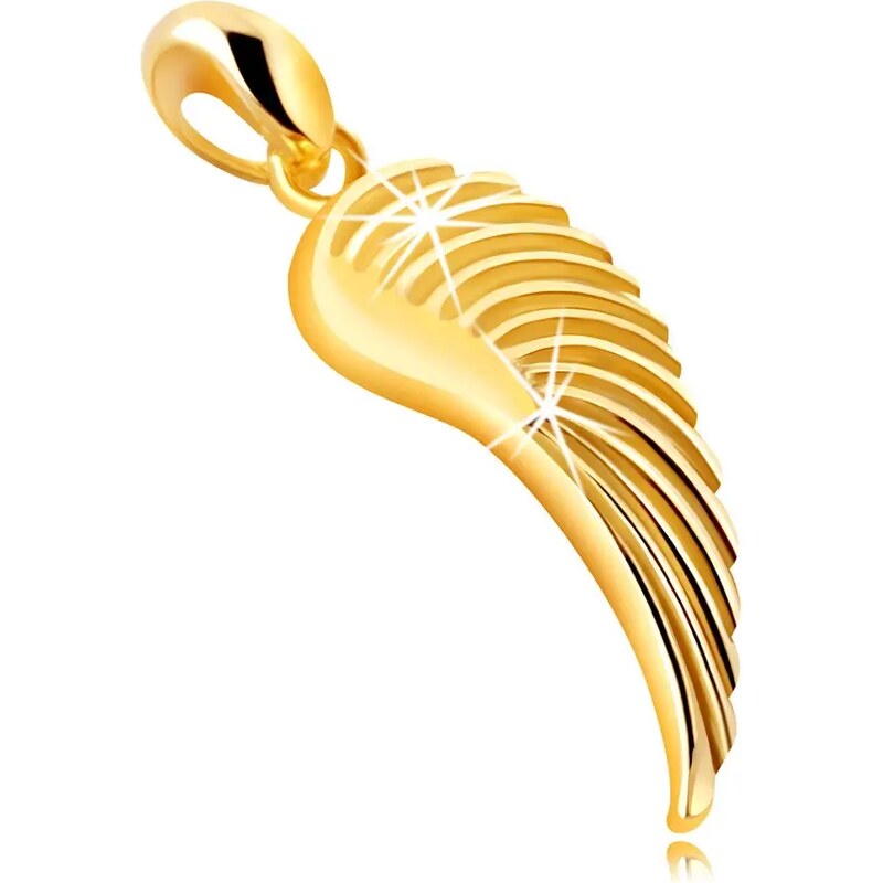 Bijuterii Eshop - Pandantiv din aur galben 375 - aripa de înger, suprafață gravată lucioasă S4GG243.57