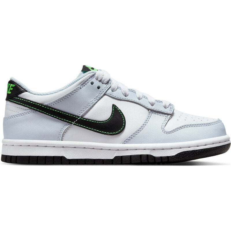 Pantofi sport Nike Dunk Low Bg