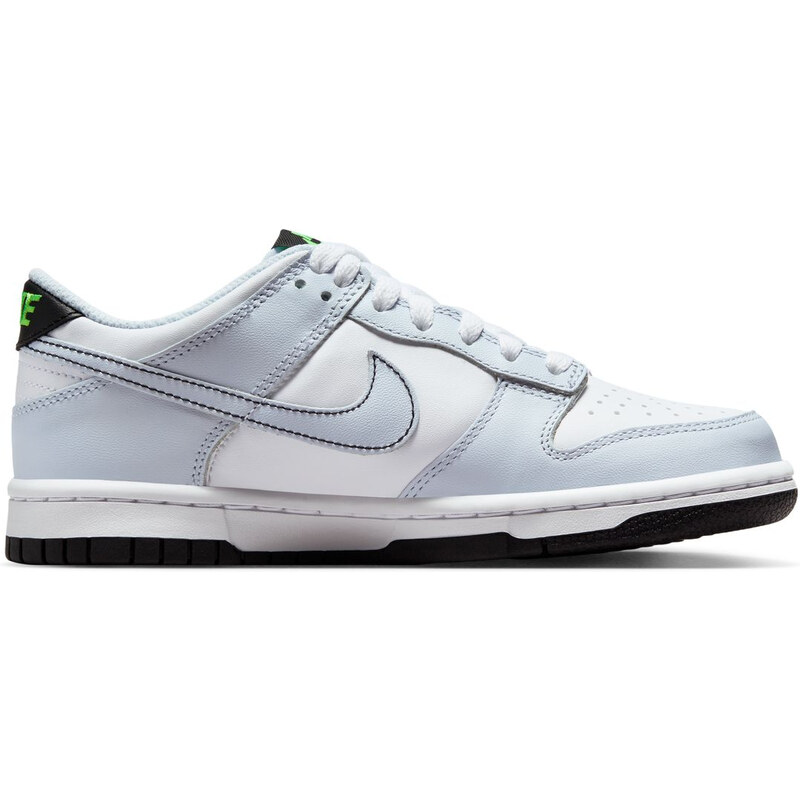 Pantofi sport Nike Dunk Low Bg